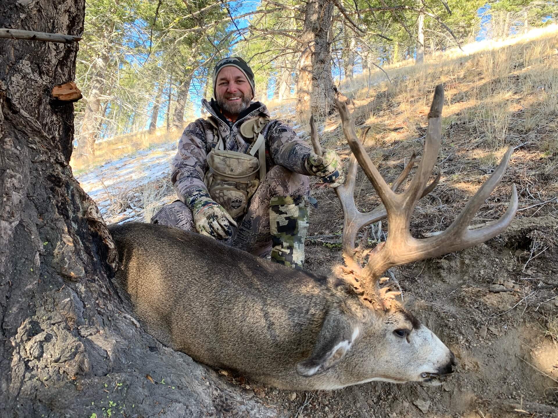 Late Season Mule Deer Hunting
