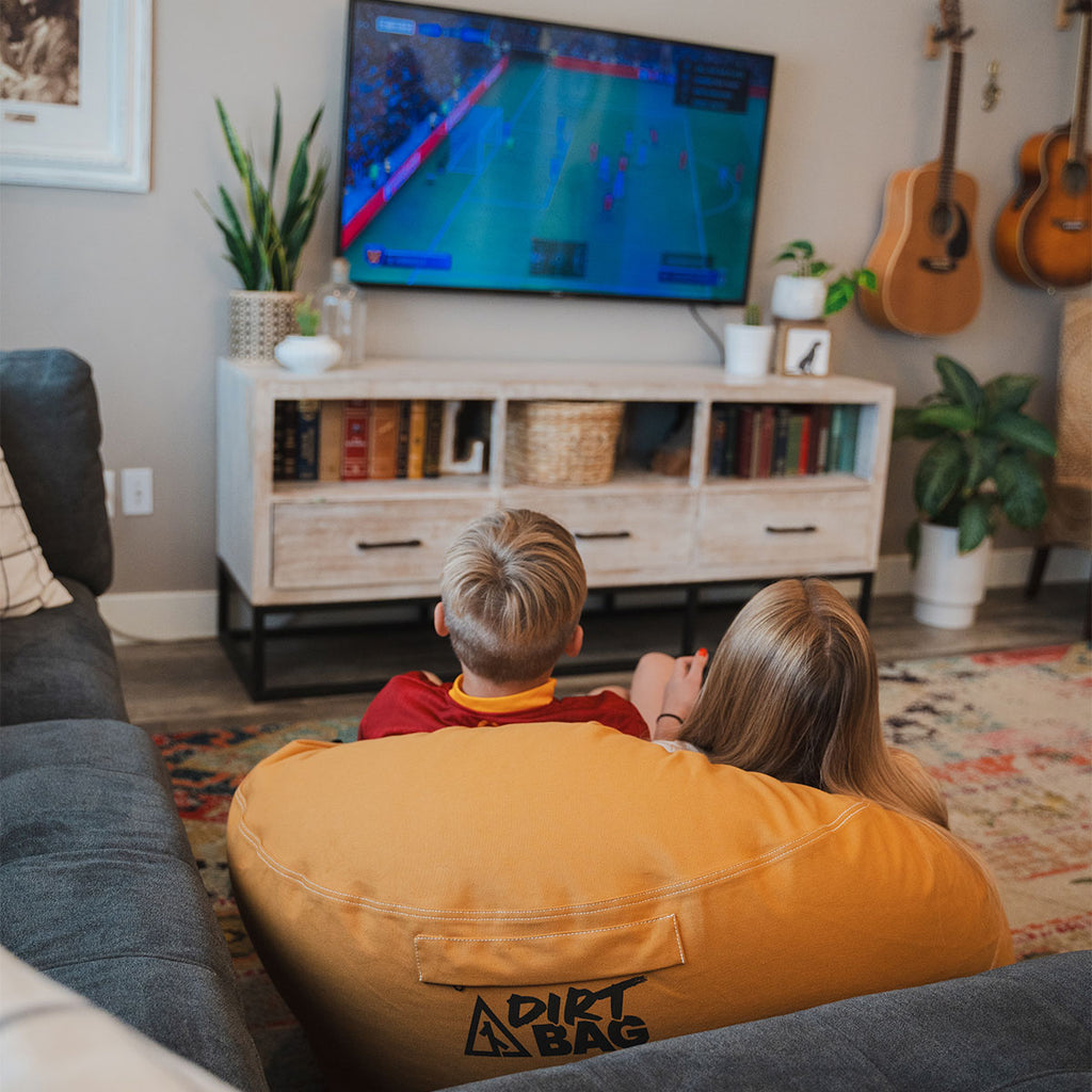 Dirt Bag used indoors for comfortable seating in a living room